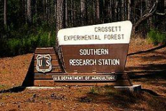 Crossett Experimental Forest