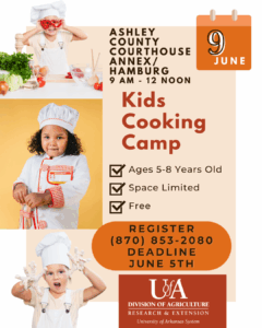 Cooking Camp Hamburg