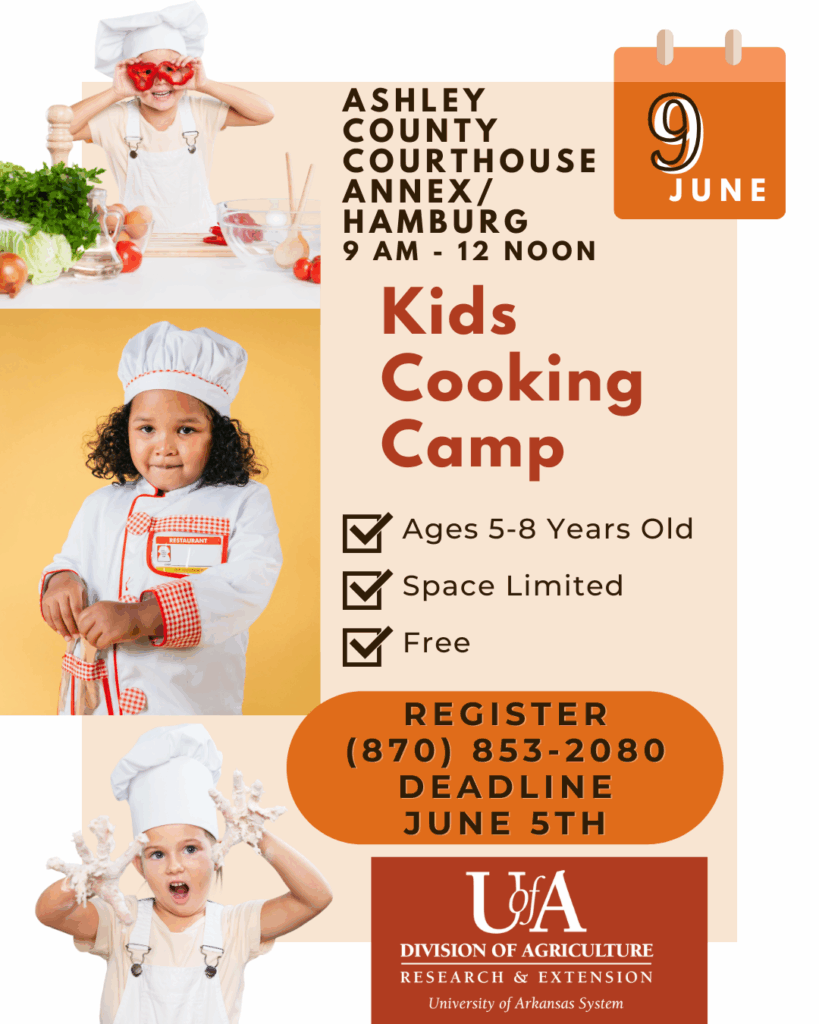 Cooking Camp Hamburg