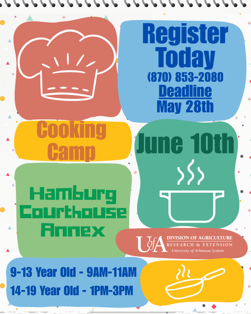 Cooking Camp Hamburg