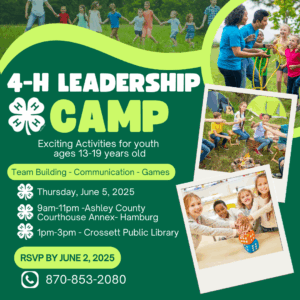 4-H Leadership Camp