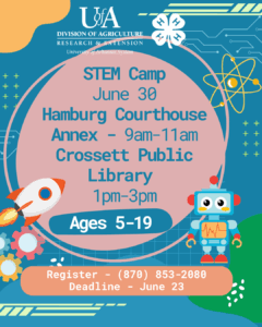 STEM Camp