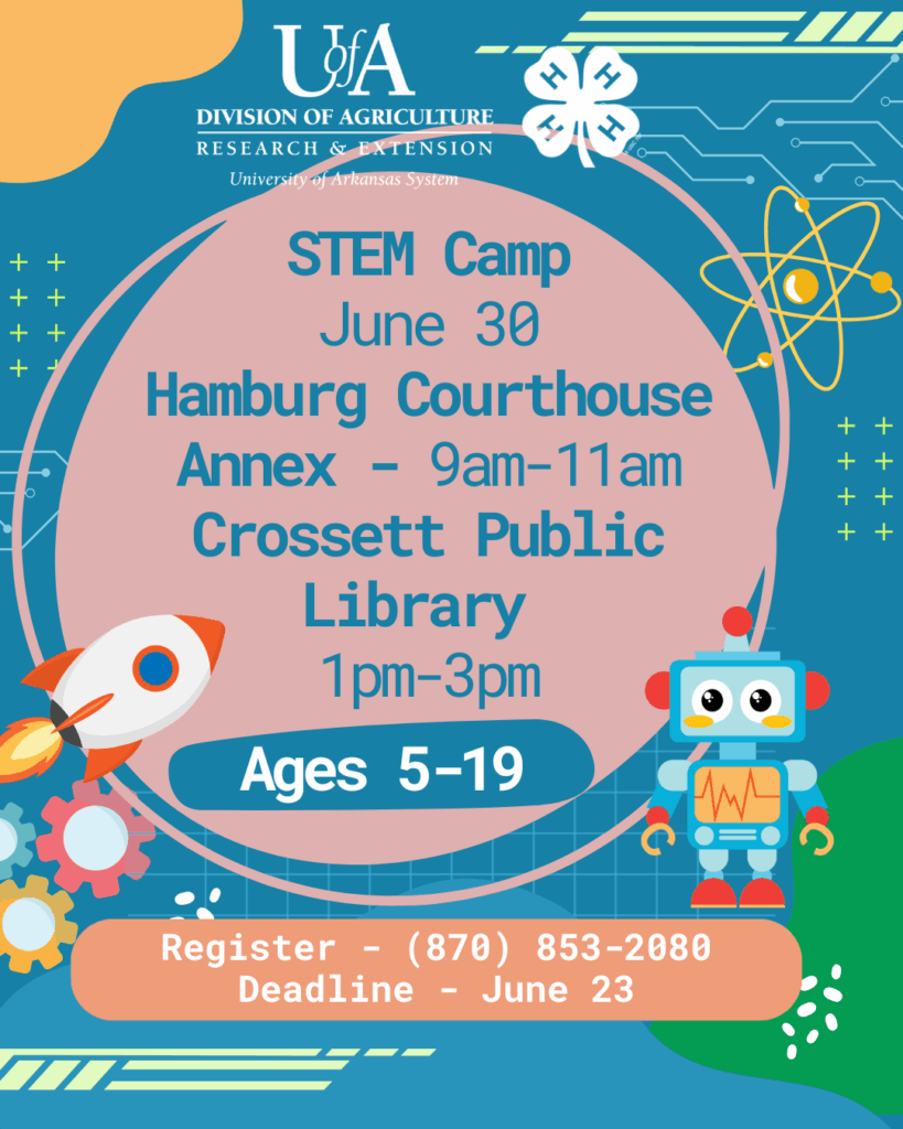 STEM Camp